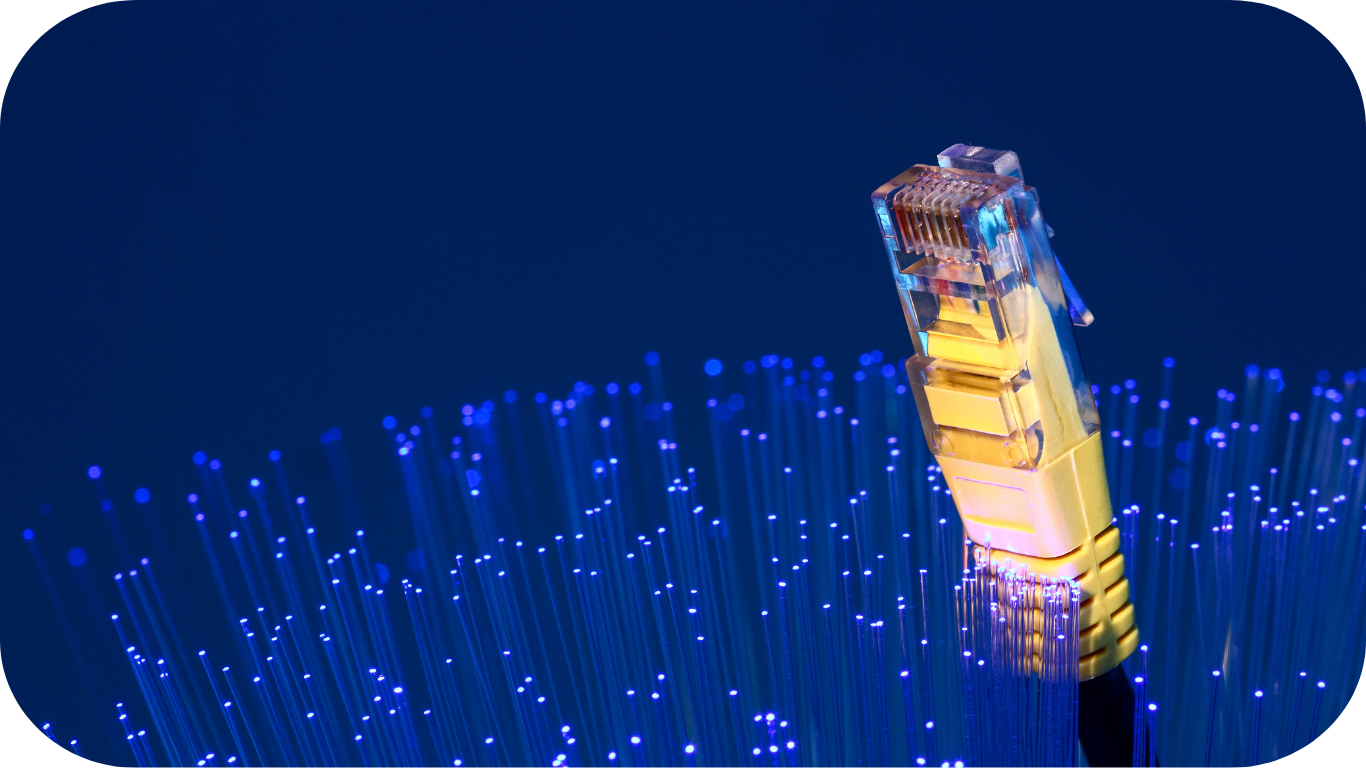 Fibre Optic.png